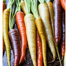 Buntes Wurzelgemüse