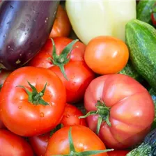 Premium Gemüsepflanzen