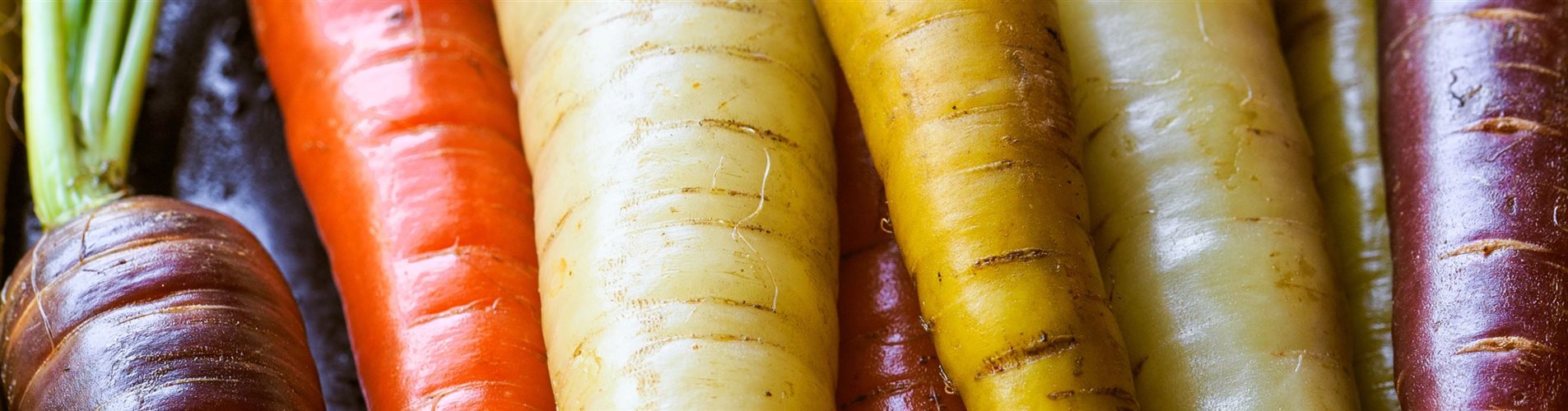 Seite 2 - Karotte bunt-142-2045-3555-761