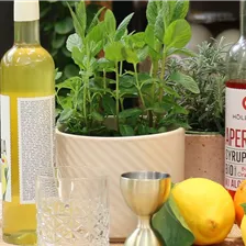Mocktail-Rezepte
