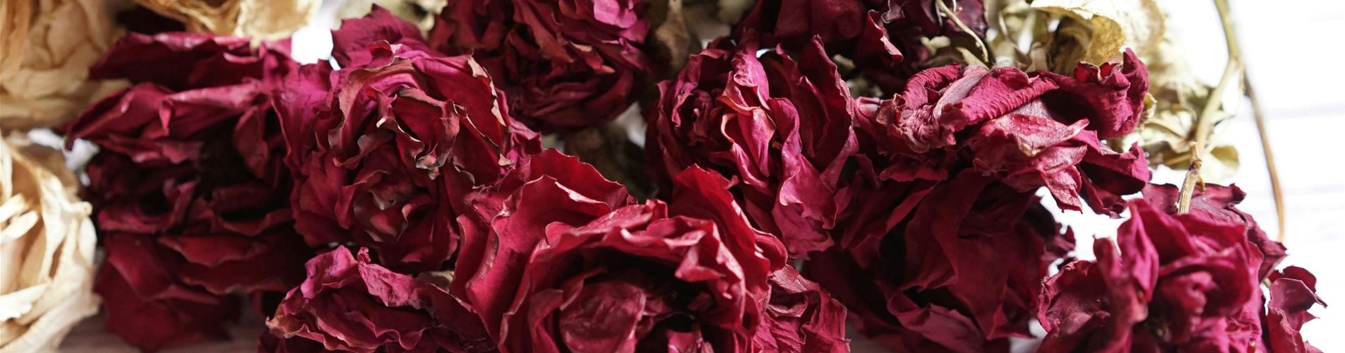 pexels-rie-rosa-7476750-0-410-3936-2214 pexels-rie-rosa-7476750-0-410-3936-2214