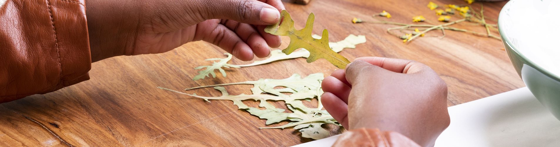 Kräuterlampion basteln Kräuterlampion basteln