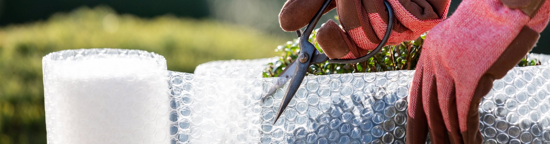 Überwinterung - Luftpolsterfolie schneiden Überwinterung - Luftpolsterfolie schneiden