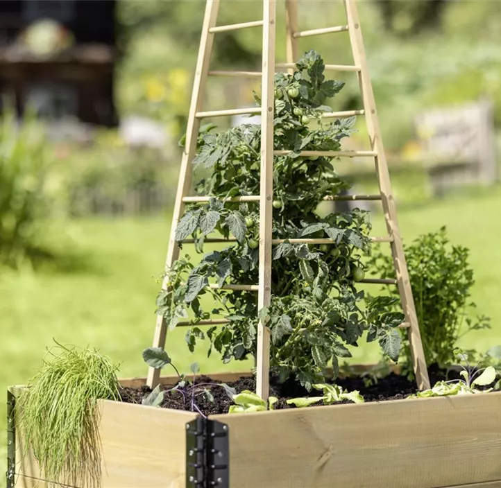 Holz-Rankhilfe Pyramide