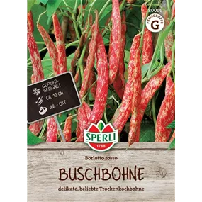 Buschbohne Borlotto Rosso