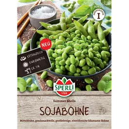 Sojabohne Summer Shells