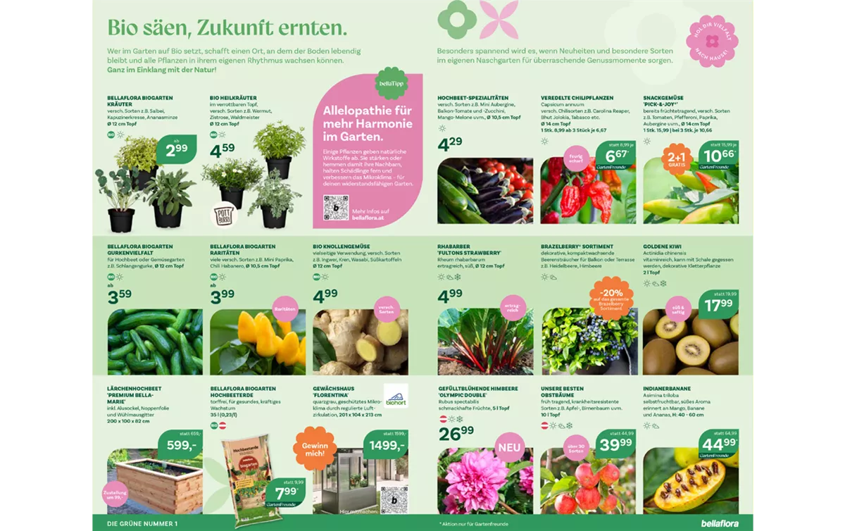 FB-04-26-Seite 2-3.png