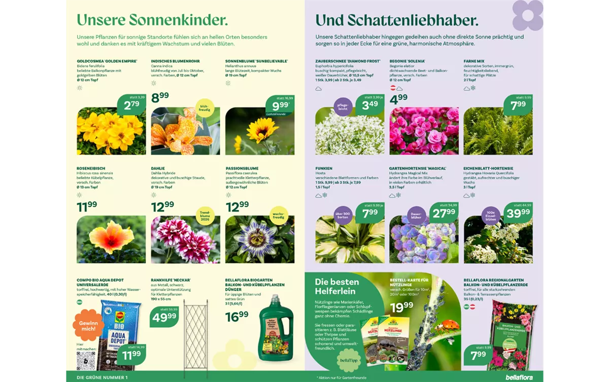 FB-04-26-Seite 6-7.png