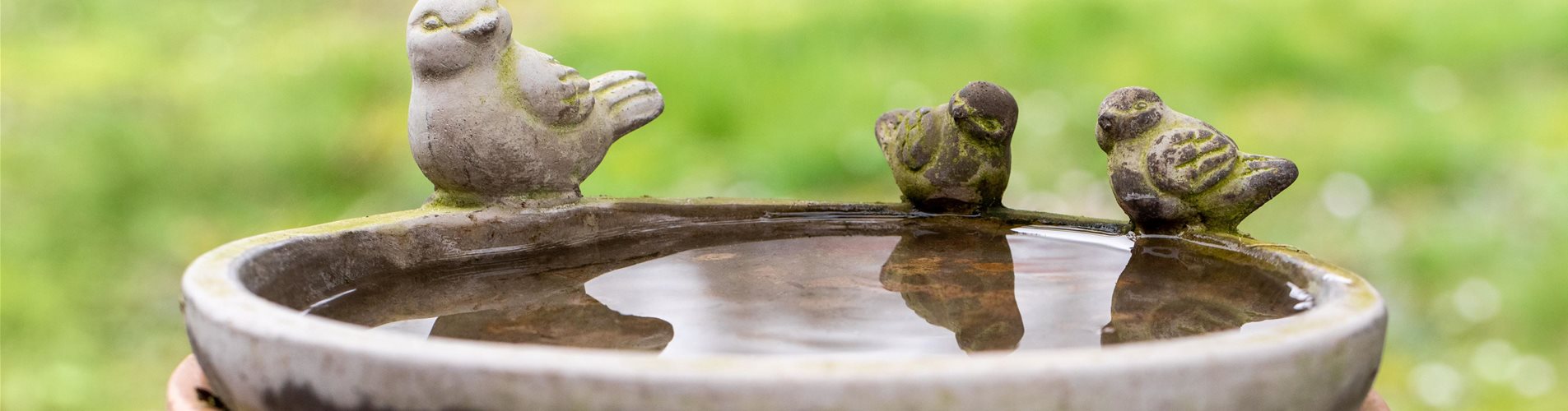 GS657438_Vogeltränke_-0-0-6720-4480 GS657438_Vogeltränke_-0-0-6720-4480