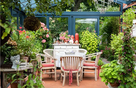 Gewächshaus dekoriert