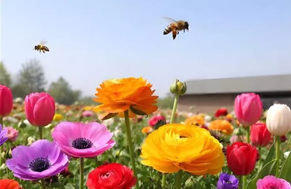 KW 7-9 Zusatzthema - Kachel - Das kannst du jz schon ins Freie pflanzen.jpg