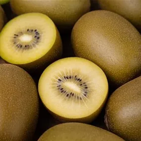 Actinidia chinensis Golden Kiwi