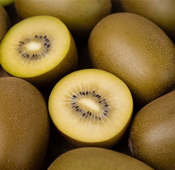 Kiwi 'Golden Kiwi'