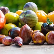 Tomatenvielfalt