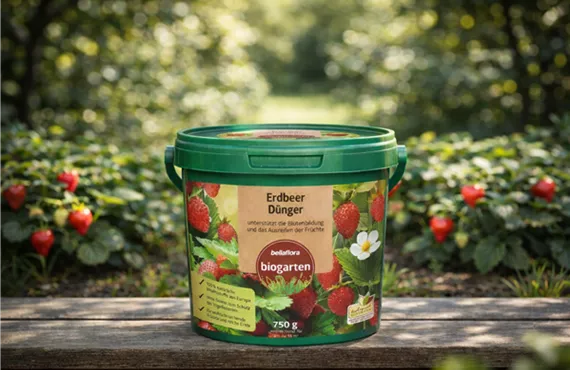 Erdbeerdünger.png