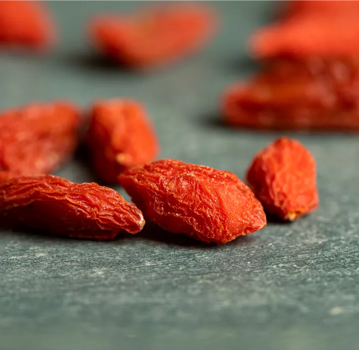 Goji-Beere 'Little Gojii'®