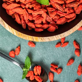 Lycium barbarum Little Goji