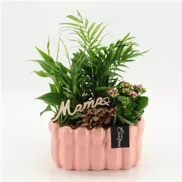 Muttertag Arrangement 'Mama'