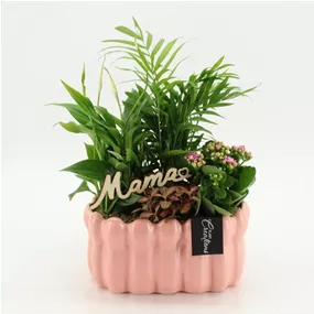 Muttertag Arrangement 'Mama'