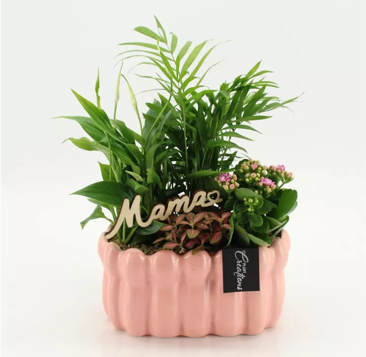 Muttertag Arrangement 'Mama'