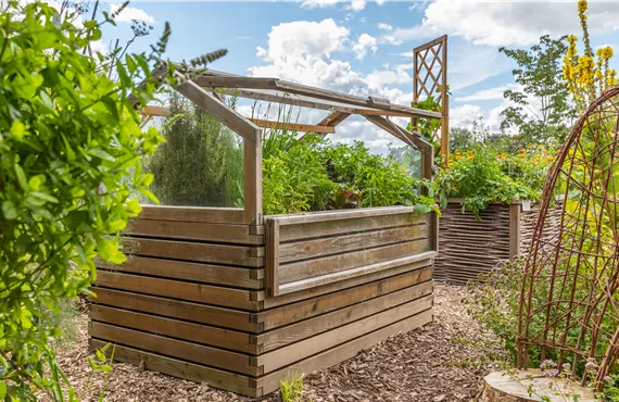 Hochbeet 