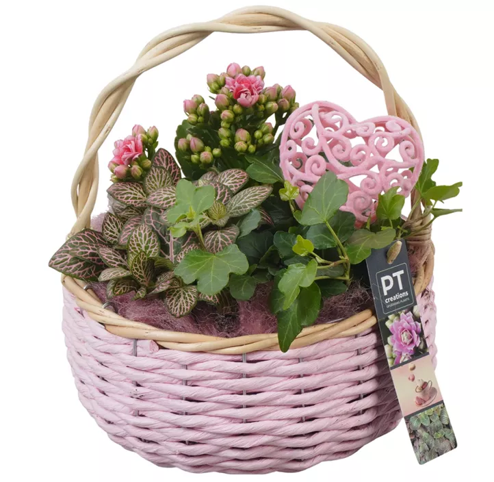 Arrangement Muttertag , rosa