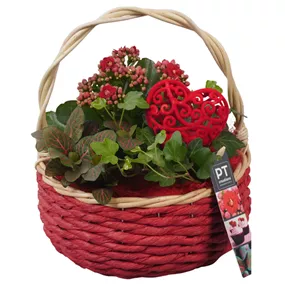 Arrangement Muttertag , rot