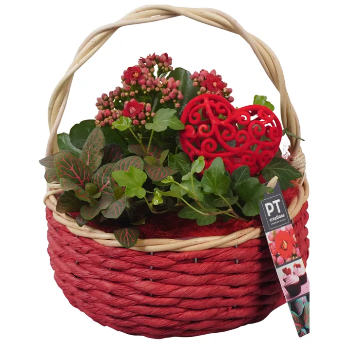 Arrangement Muttertag , rot