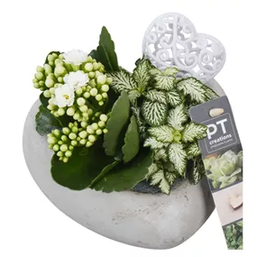 Arrangement Muttertag, weiß