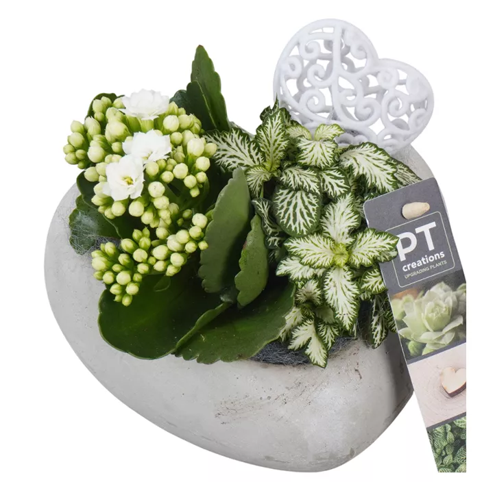 Arrangement Muttertag, weiß