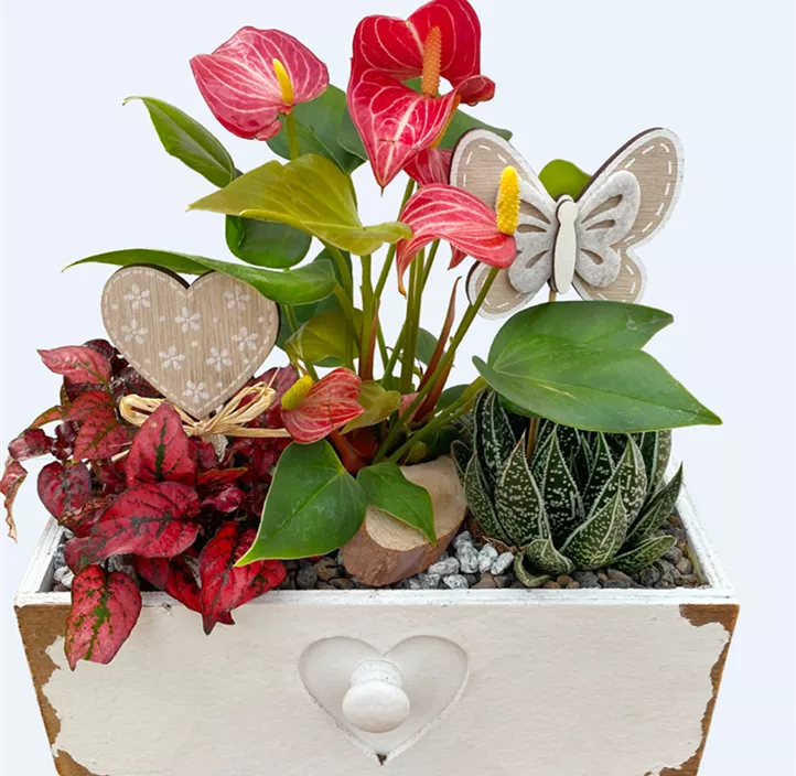 Arrangement 'Gerda'