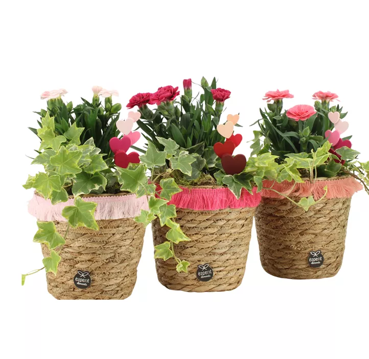 Outdoor-Arrangement 'Love' in Korb