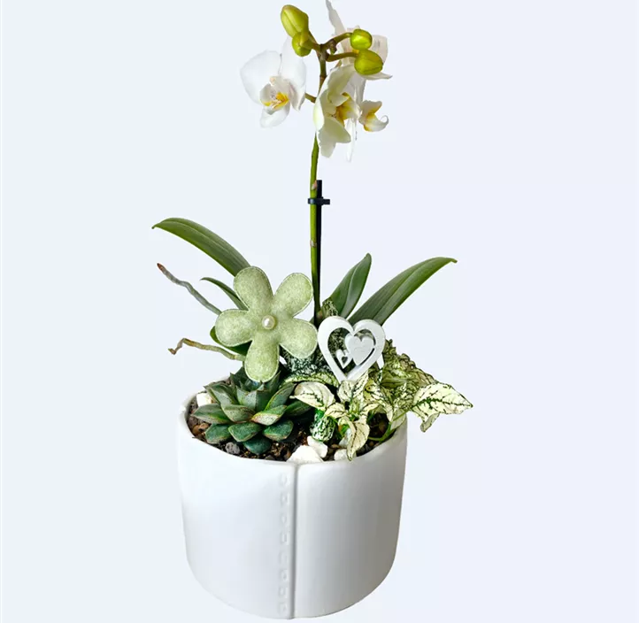 Muttertag Arrangement, weiß