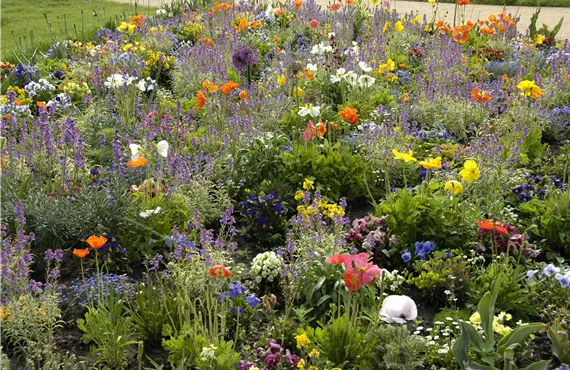Buntes Blumenbeet
