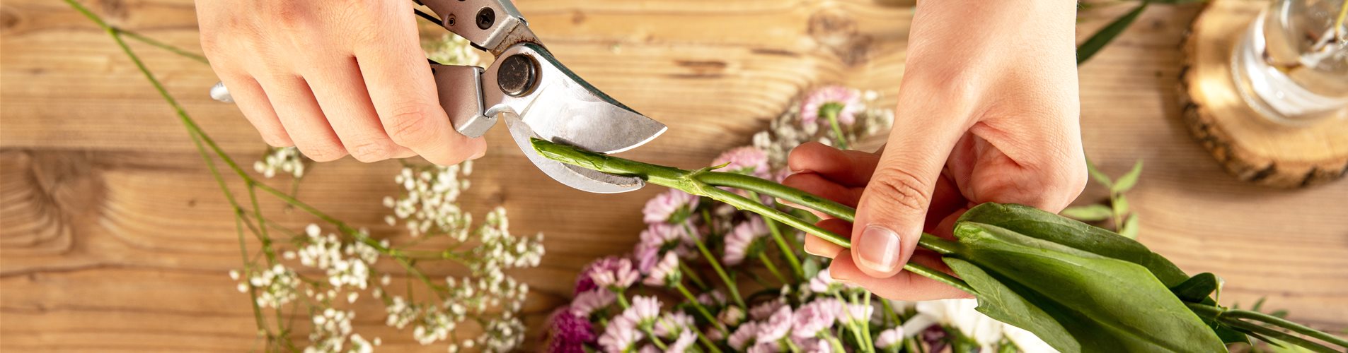 Schnittblumen kürzen