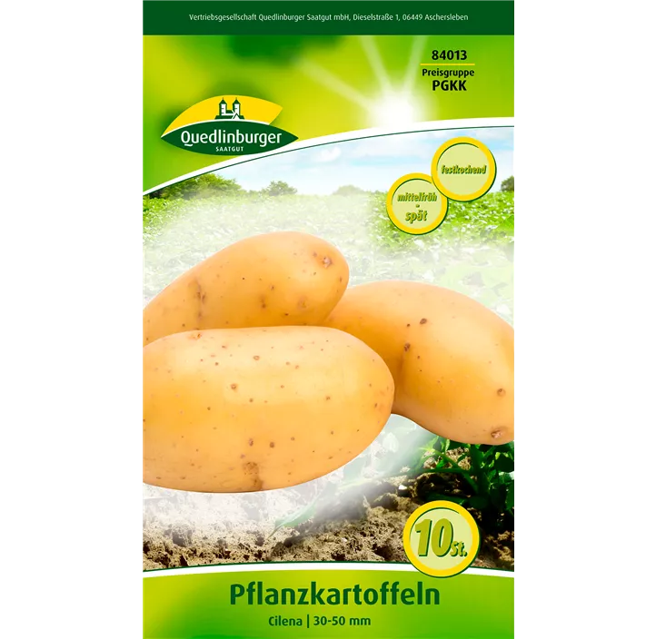 Pflanzkartoffel 'Cilena' (festkochend)