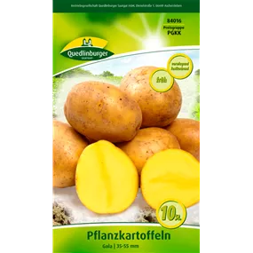 Pflanzkartoffel 'Gala' (festkochend)