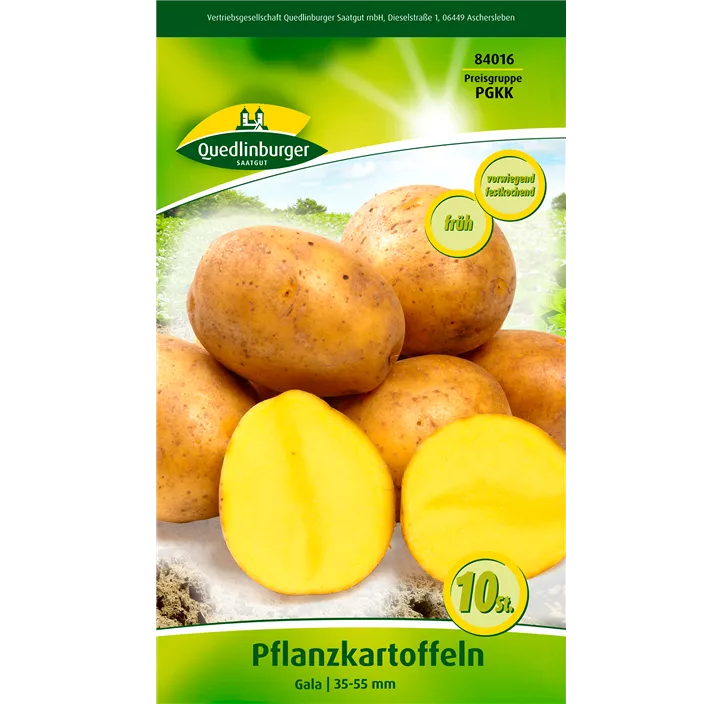 Pflanzkartoffel 'Gala' (festkochend)