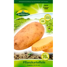 Pflanzkartoffel 'Sieglinde' (festkochend)