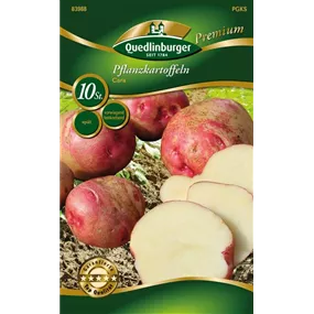 Pflanzkartoffel 'Cara' (vorwiegend festkochend)