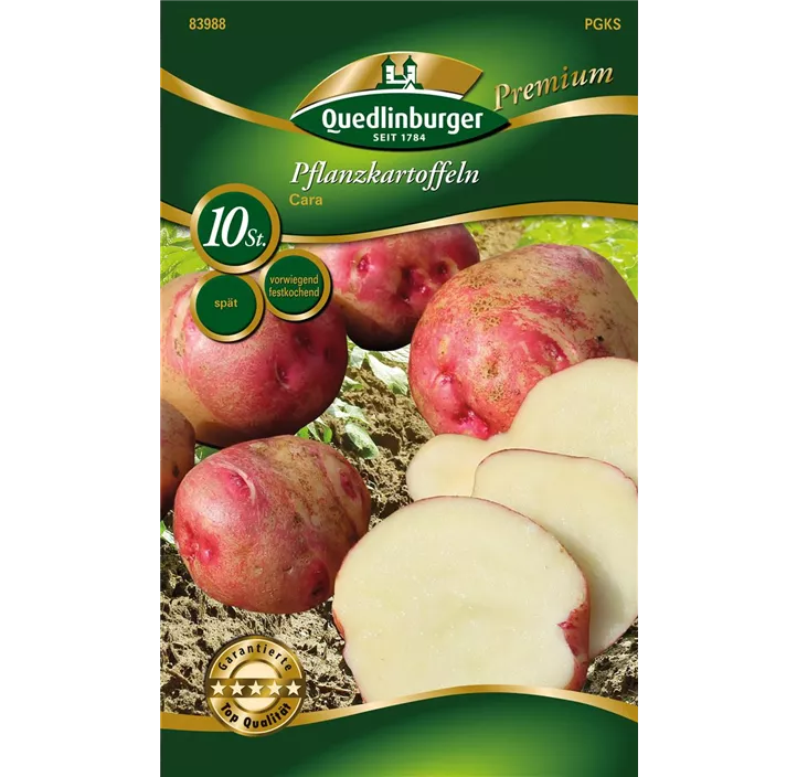 Pflanzkartoffel 'Cara' (vorwiegend festkochend)