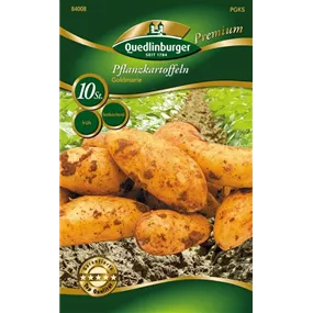 Pflanzkartoffel 'Goldmarie' (festkochend)