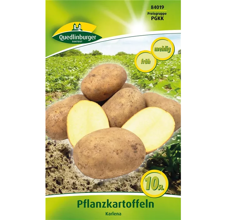 Pflanzkartoffel 'Karlena' (mehlig)