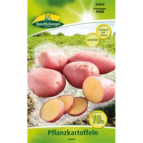 Pflanzkartoffel 'Laura' (vorwiegend festkochend)