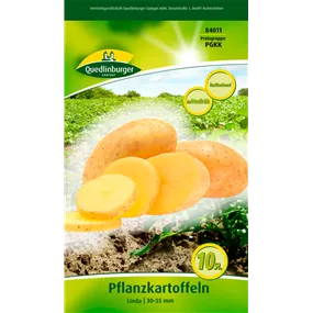 Pflanzkartoffel 'Linda' (festkochend)