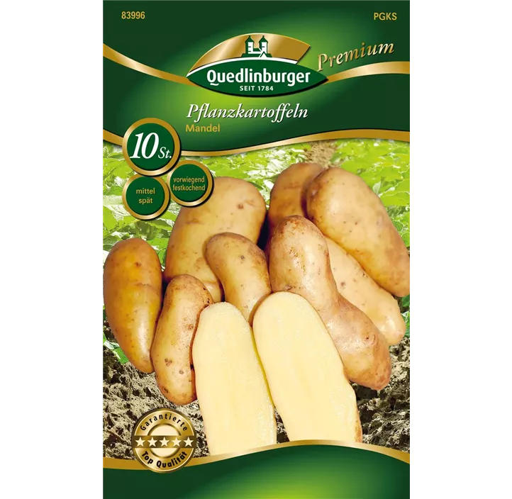 Pflanzkartoffel 'Mandel' (vorwiegend festkochend)