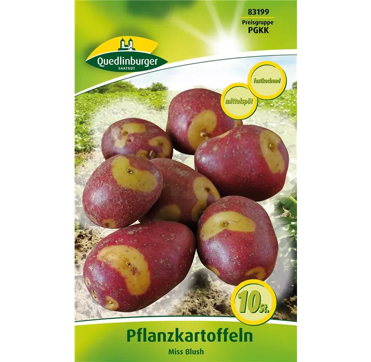 Pflanzkartoffel