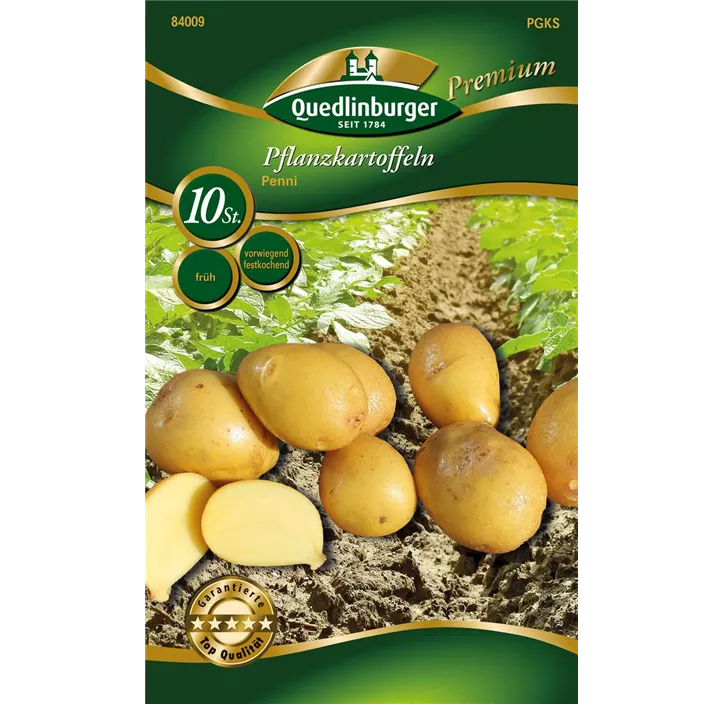 Pflanzkartoffel 'Penni' (festkochend)