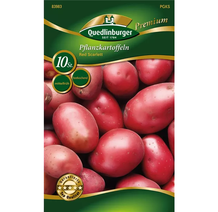 Pflanzkartoffel 'Spezial Red Scarlett' (festkochend)