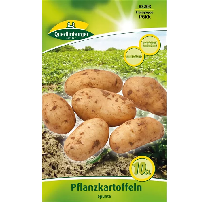 Pflanzkartoffel 'Spunta' (festkochend)